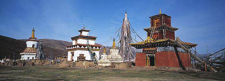 《忍者神龟：施莱德的复仇》新增女记者可操作角色